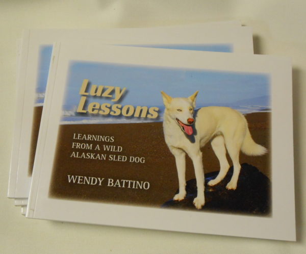 luzy lessons book