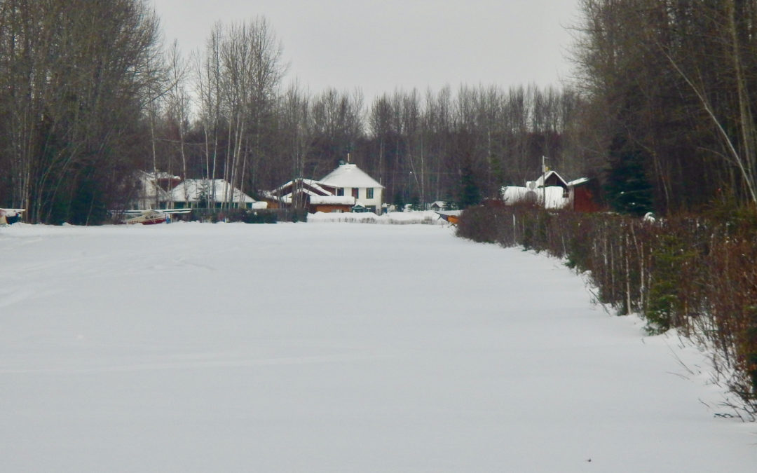 Talkeetna Village Airstrip